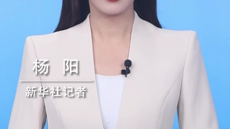 深入解析：Ansible自定义模块开发的奥秘